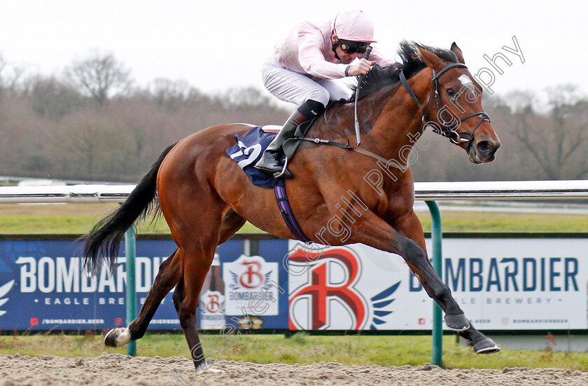 Shimmering-0004 
 SHIMMERING (Robert Havlin) wins The Ladbrokes Home Of The Odds Boost EBF Novice Stakes
Lingfield 18 Dec 2019 - Pic Steven Cargill / Racingfotos.com