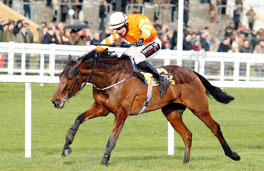 Fakir-D Oudairies-0004 
 FAKIR D'OUDAIRIES (J J Slevin) wins The JCB Triumph Trial Juvenile Hurdle
Cheltenham 26 Jan 2019 - Pic Steven Cargill / Racingfotos.com