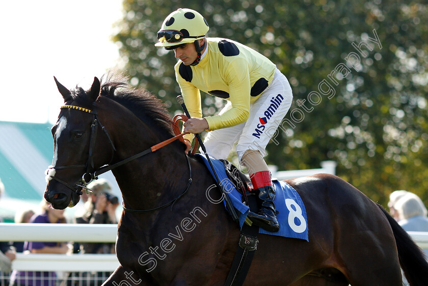 Monsieur-Noir-0002 
 MONSIEUR NOIR (Andrea Atzeni)
Salisbury 3 Oct 2018 - Pic Steven Cargill / Racingfotos.com