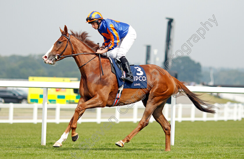 Love-0001 
 LOVE (Ryan Moore)
Ascot 24 Jul 2021 - Pic Steven Cargill / Racingfotos.com