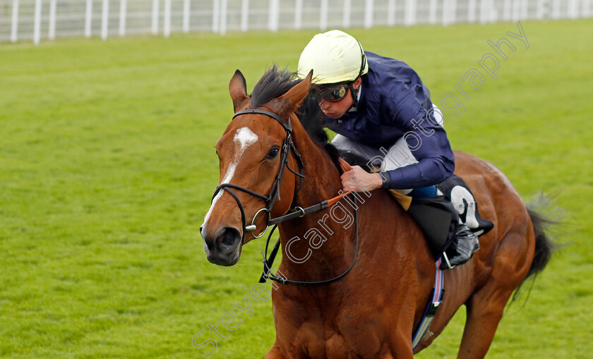 Crystal-Estrella-0004 
 CRYSTAL ESTRELLA (William Buick) wins The British EBF Fillies Restricted Novice Stakes
Goodwood 20 May 2022 - Pic Steven Cargill / Racingfotos.com