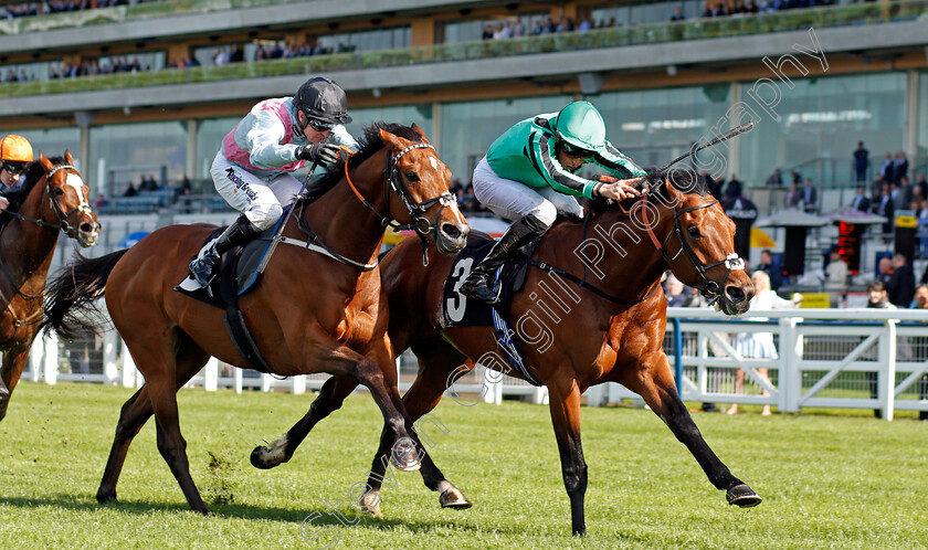 Century-Dream-0003 
 CENTURY DREAM (right, William Buick) beats CRAZY HORSE (left) in The Celebrating The Commonwealth Paradise Stakes Ascot 2 May 2018 - Pic Steven Cargill / Racingfotos.com