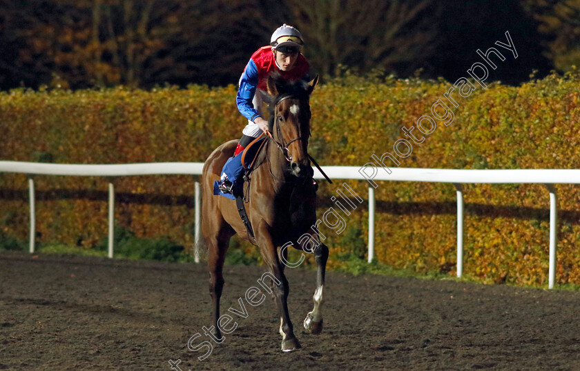 Ejaabiyah-0007 
 EJAABIYAH (David Egan) winner of The Unibet British Stallion Studs EBF Fillies Novice Stakes
Kempton 15 Nov 2023 - Pic Steven Cargill / Racingfotos.com