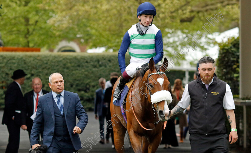 Coltrane-0007 
 COLTRANE (Oisin Murphy) after The Longines Sagaro Stakes
Ascot 1 May 2024 - Pic Steven Cargill / Racingfotos.com