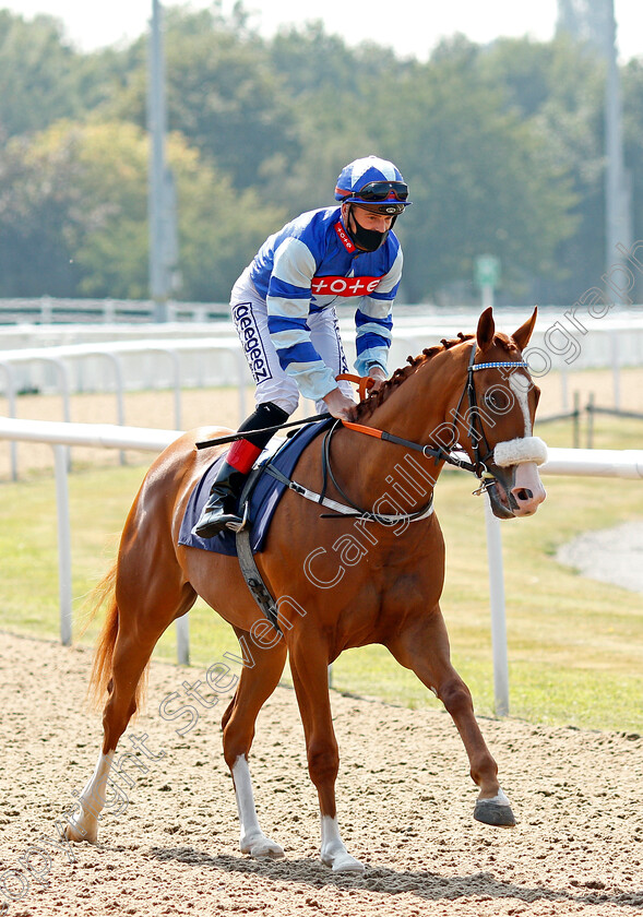 Mawgan-Porth-0001 
 MAWGAN PORTH (Callum Rodriguez)
Wolverhampton 11 Aug 2020 - Pic Steven Cargill / Racingfotos.com