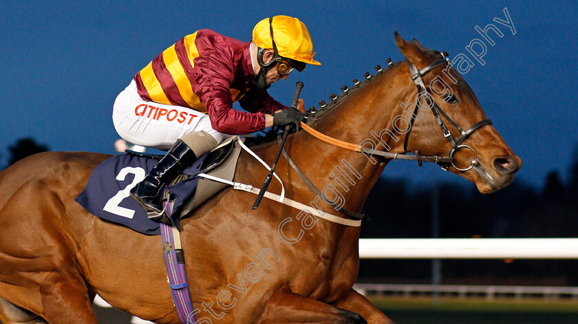 Sea-The-Shells-0008 
 SEA THE SHELLS (Franny Norton) wins The Get Your Ladbrokes Daily Odds Boost Novice Stakes
Wolverhampton 12 Mar 2021 - Pic Steven Cargill / Racingfotos.com