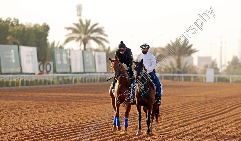 Taiba-0003 
 TAIBA training for the Saudi Cup
King Abdulaziz Racecourse, Kingdom Of Saudi Arabia, 23 Feb 2023 - Pic Steven Cargill / Racingfotos.com