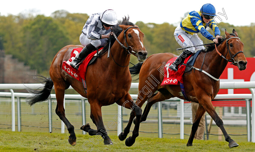 Japan-0004 
 JAPAN (left, Ryan Moore) beats TRUESHAN (right) in The tote+ Pays You More At tote.co.uk Ormonde Stakes
Chester 6 May 2021 - Pic Steven Cargill / Racingfotos.com