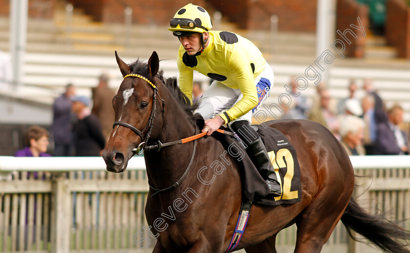 Inisherin-0001 
 INISHERIN (Clifford Lee)
Newmarket 28 Sep 2023 - Pic Steven Cargill / Racingfotos.com