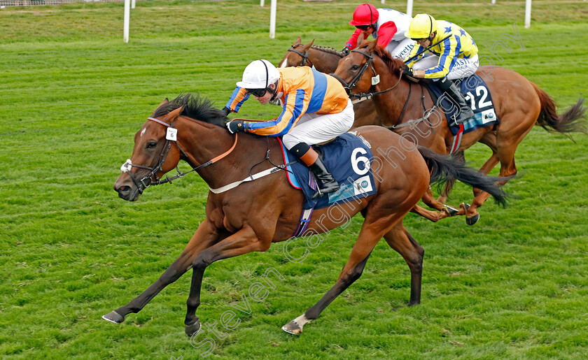 Adaay-In-Asia-0003 
 ADAAY IN ASIA (Dylan Hogan) wins The British Stallion Studs EBF Fillies Handicap
York 18 Aug 2022 - Pic Steven Cargill / Racingfotos.com