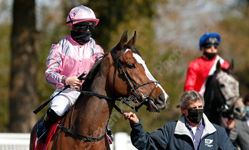 Pholas-0001 
 PHOLAS (Hollie Doyle) winner of The Ladbrokes All-Weather Fillies and Mares Championships Conditions Stakes
Lingfield 2 Apr 2021 - Pic Steven Cargill / Racingfotos.com