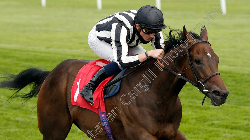 New-Mandate-0003 
 NEW MANDATE (Rob Hornby) wins The Betway Nursery
Sandown 23 Aug 2020 - Pic Steven Cargill / Racingfotos.com