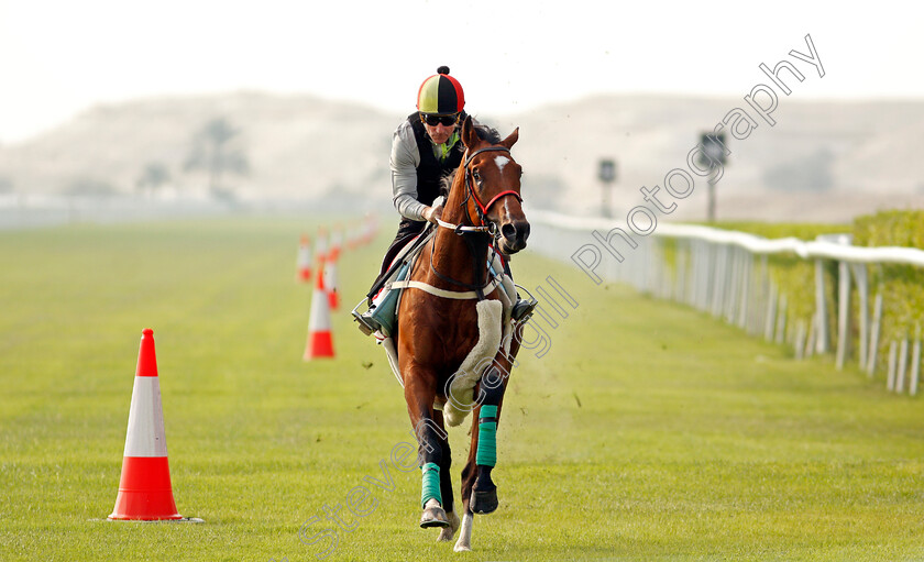 Coolagh-Forest-0005 
 COOLAGH FOREST (John Egan) training for the Bahrain International Trophy
Rashid Equestrian & Horseracing Club, Bahrain, 18 Nov 2020