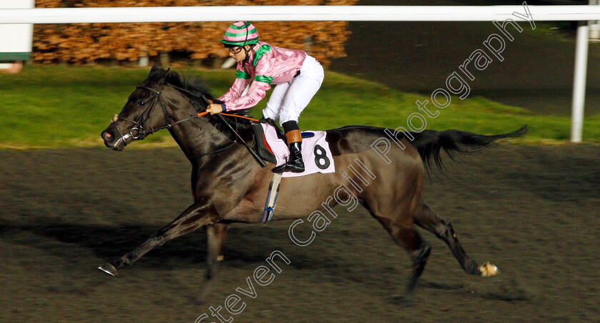 Cool-Breeze-0002 
 COOL BREEZE (Milly Naseb) wins The 32Red Casino Fillies Handicap Kempton 20 Dec 2017 - Pic Steven Cargill / Racingfotos.com