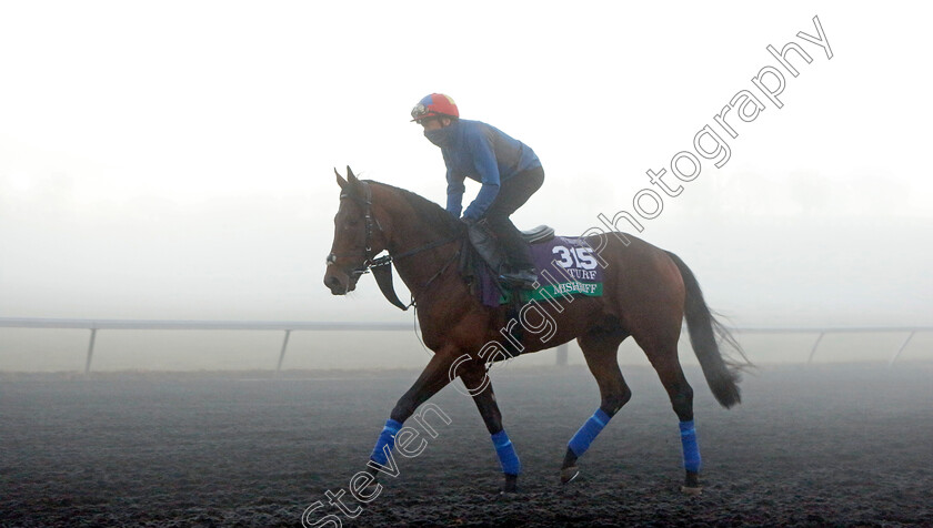 Mishriff-0002 
 MISHRIFF (Frankie Dettori) training for the Breeders' Cup Turf
Keeneland USA 3 Nov 2022 - Pic Steven Cargill / Racingfotos.com