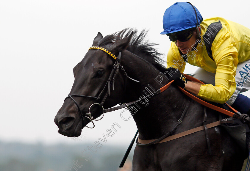 Twaasol-0005 
 TWAASOL (Jim Crowley) wins The Dash Charity Classified Stakes
Ascot 3 Sep 2021 - Pic Steven Cargill / Racingfotos.com