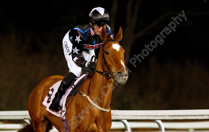 Zarabanda-0001 
 ZARABANDA (Daniel Tudhope)
Kempton 13 Dec 2023 - Pic Steven Cargill / Racingfotos.com