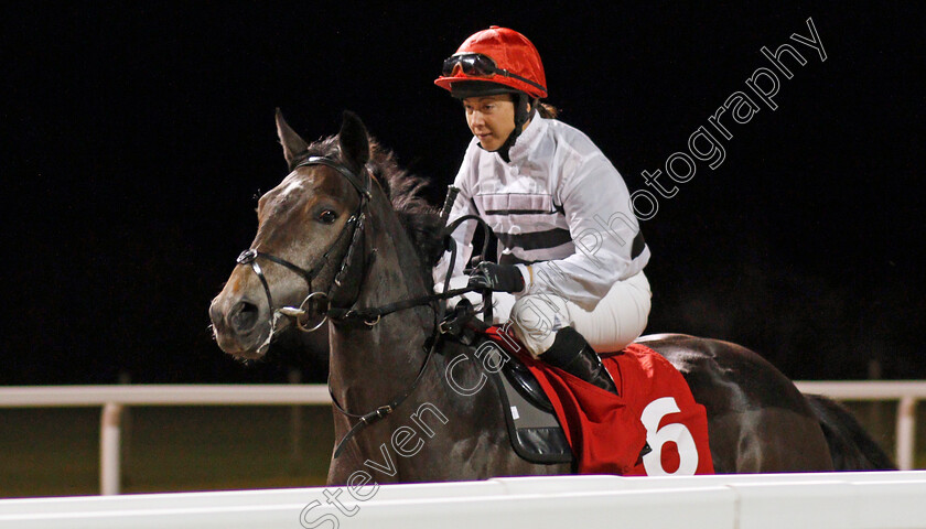 Seventeen-O-Four-0001 
 SEVENTEEN O FOUR (Hayley Turner)
Chelmsford 28 Nov 2019 - Pic Steven Cargill / Racingfotos.com