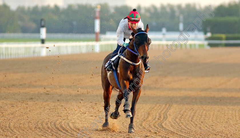 Global-Hit-0002 
 GLOBAL HIT training at the Dubai Racing Carnival
Meydan 22 Jan 2025 - Pic Steven Cargill / Racingfotos.com