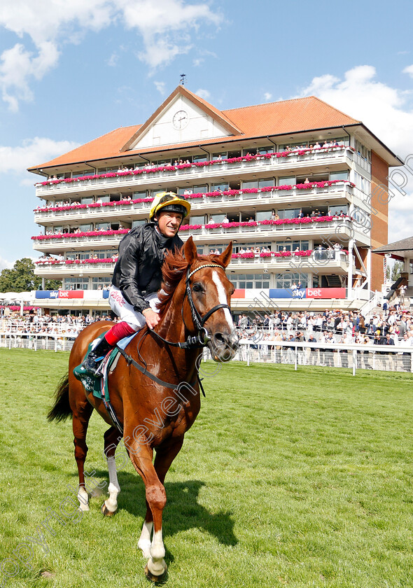 Stradivarius-0010 
 STRADIVARIUS (Frankie Dettori) after The Weatherbys Hamilton Lonsdale Cup
York 23 Aug 2019 - Pic Steven Cargill / Racingfotos.com