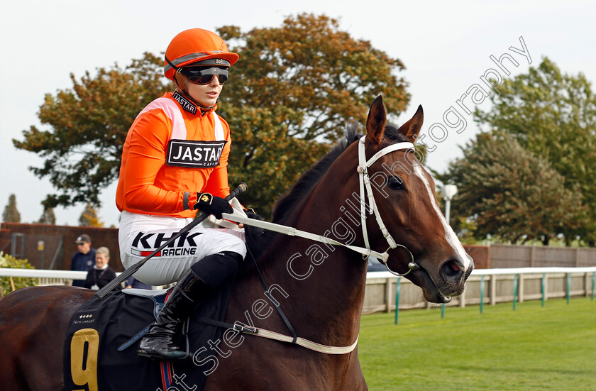 Prenup-0001 
 PRENUP (Saffie Osborne)
Newmarket 7 Oct 2023 - Pic Steven Cargill / Racingfotos.com