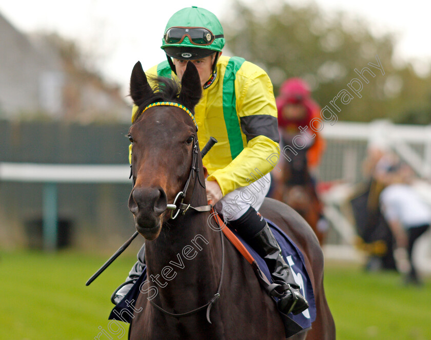 Puds-0001 
 PUDS (Steve Drowne) Yarmouth 24 Oct 2017 - Pic Steven Cargill / Racingfotos.com