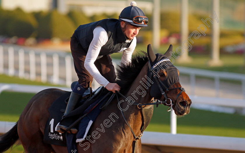 Oscula-0003 
 OSCULA training for The Saudi Derby
King Abdulaziz Racetrack, Riyadh, Saudi Arabia 23 Feb 2022 - Pic Steven Cargill / Racingfotos.com