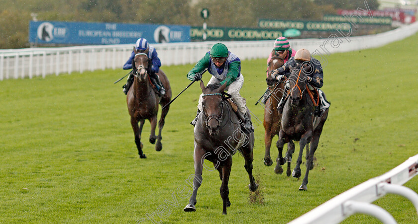 Oti-Ma-Boati-0003 
 OTI MA BOATI (James Doyle) wins The Ladbrokes Get Your Daily Odds Boost Fillies Handicap
Goodwood 28 Aug 2020 - Pic Steven Cargill / Racingfotos.com