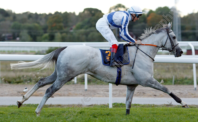 Thundering-Blue-0011 
 THUNDERING BLUE (Fran Berry) wins The Stockholm Cup International
Bro Park, Sweden 23 Sep 2018 - Pic Steven Cargill / Racingfotos.com