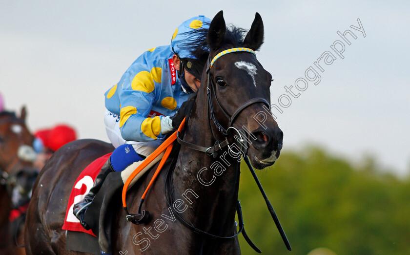 Dashing-Roger-0005 
 DASHING ROGER (Marco Ghiani) wins The Coral Whitsun Cup Handicap
Sandown 27 May 2021 - Pic Steven Cargill / Racingfotos.com