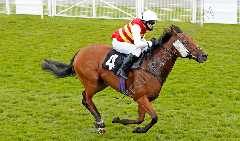 The-Game-Is-On-0005 
 THE GAME IS ON (Guy Mitchell) wins The Gay Kindersley Amateur Jockeys' Handicap Div1
Goodwood 30 Aug 2020 - Pic Steven Cargill / Racingfotos.com