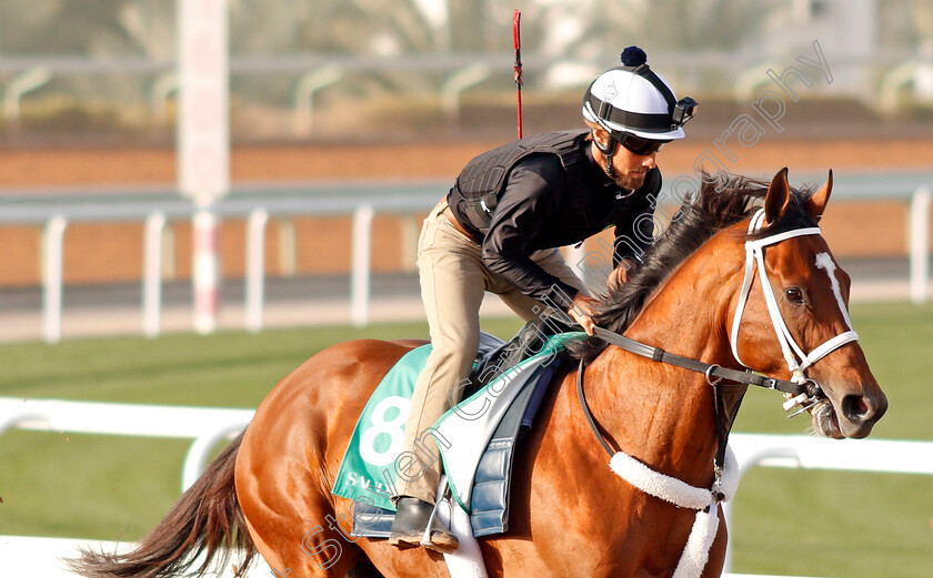 Maximum-Security-0004 
 MAXIMUM SECURITY preparing for The Saudi Cup
Riyadh Racetrack, Kingdom Of Saudi Arabia, 27 Feb 2020 - Pic Steven Cargill / Racingfotos.com