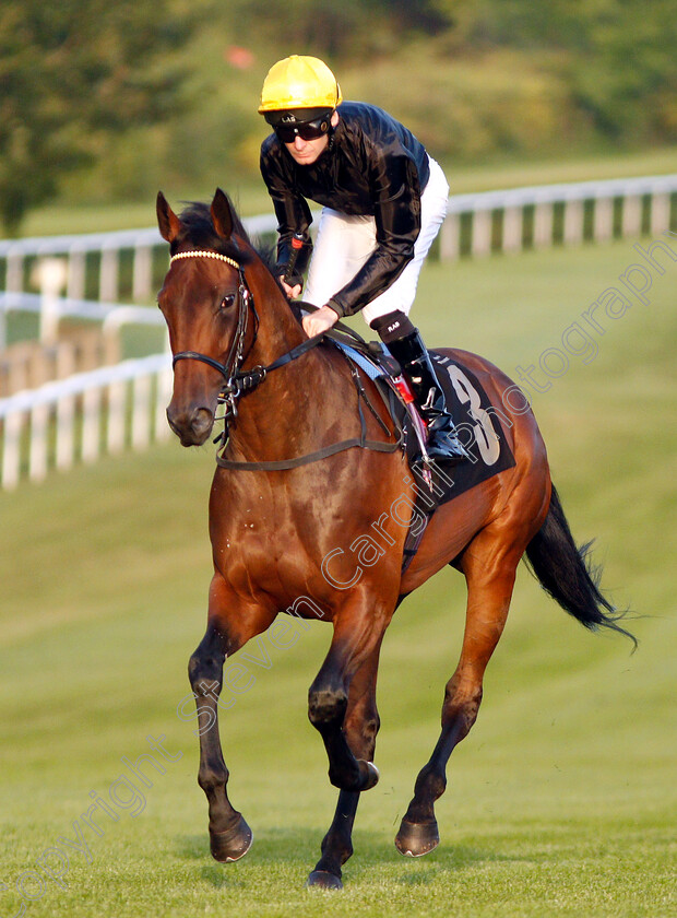 Fabulist-0002 
 FABULIST (Robert Havlin) winner of The Coates & Seely Brut Reserve Fillies Novice Stakes
Newmarket 28 Jun 2019 - Pic Steven Cargill / Racingfotos.com