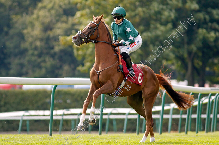 Golden-Bullet-0001 
 GOLDEN BULLET (Hollie Doyle)
Haydock 2 Sep 2022 - Pic Steven Cargill / Racingfotos.com