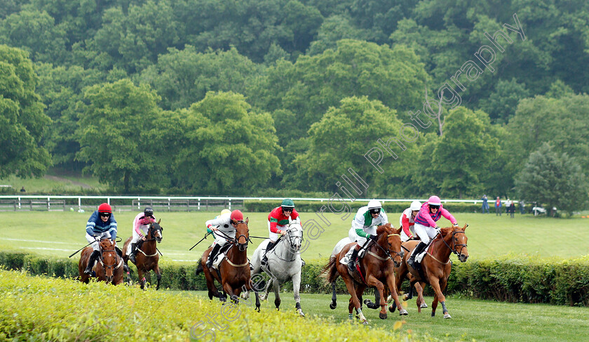 City-Dreamer-0001 
 CITY DREAMER (far left, Sean McDermott) got up to win The Marcellus Frost Champion Hurdle
Percy Warner Park, Nashville Tennessee USA, 11 May 2019 - Pic Steven Cargill / Racingfotos.com