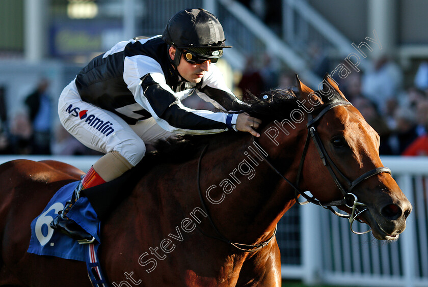 Helvetian-0005 
 HELVETIAN (Andrea Atzeni) wins The Weatherbys General Stud Book Handicap
Salisbury 3 Oct 2018 - Pic Steven Cargill / Racingfotos.com