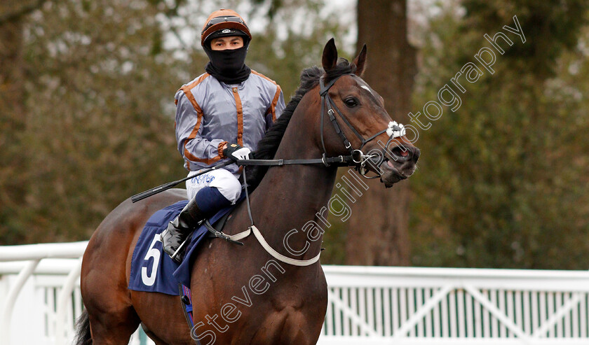 Stay-Smart-0002 
 STAY SMART (Silvestre De Sousa)
Lingfield 26 Mar 2021 - Pic Steven Cargill / Racingfotos.com