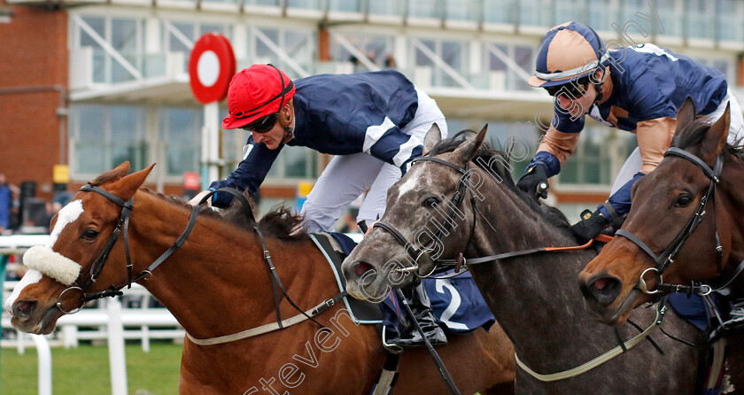 Crystal-Casque-0003 
 CRYSTAL CASQUE (left, Jack Gilligan) beats DAYZEE (centre) in The BetMGM Irish EBF Fillies Handicap
Lingfield 23 Dec 2023 - Pic Steven Cargill / Racingfotos.com