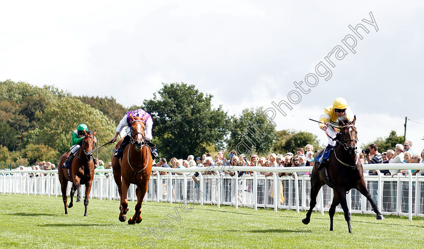 Concello-0002 
 CONCELLO (Oisin Murphy) beats CANAVESE (left) in The Sorvio Insurance Brokers Maiden Auction Fillies Stakes
Salisbury 16 Aug 2018 - Pic Steven Cargill / Racingfotos.com