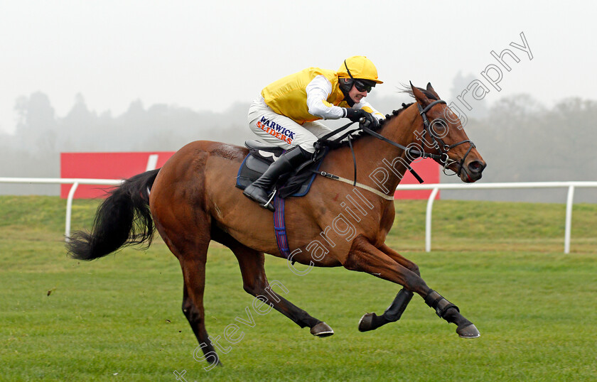 Pink-Sheets-0008 
 PINK SHEETS (Jack Quinlan) wins The Play Ladbrokes 5-A-Side On Football Mares Novices Hurdle
Newbury 28 Nov 2020 - Pic Steven Cargill / Racingfotos.com