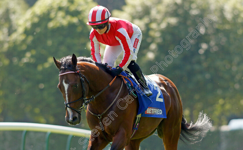 Bradsell-0002 
 BRADSELL (Hollie Doyle)
Haydock 27 May 2023 - Pic Steven Cargill / Racingfotos.com