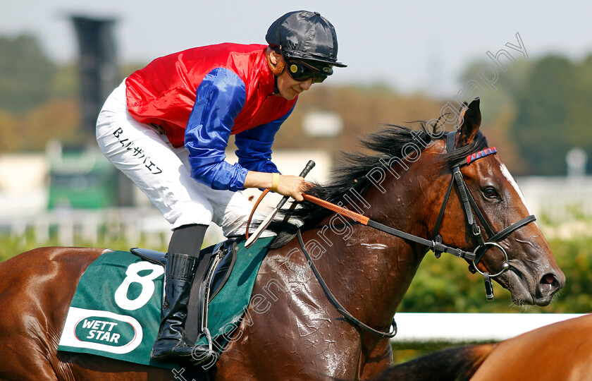 Sorceress-0004 
 SORCERESS (Bauyrzhan Murzabayev) winner of The Gestut Etzean Winterkonigin Trial 
Baden-Baden 31 Aug 2024 - Pic Steven Cargill / Racingfotos.com