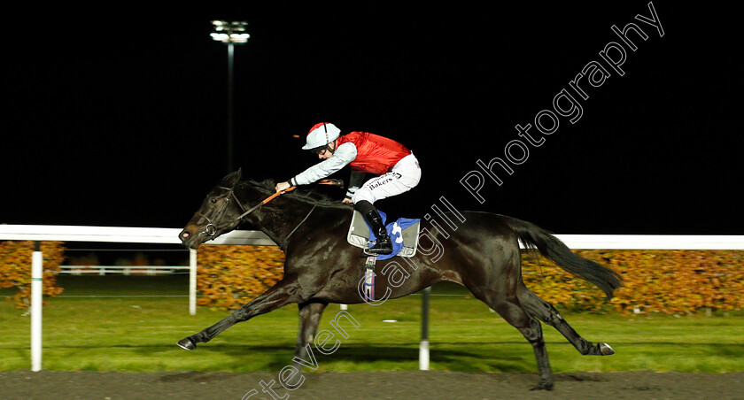 Cecchini-0005 
 CECCHINI (Richard Kingscote) wins The 100% Profit Boost At 32Redsport.com EBF Fillies Novice Stakes Div2 Kempton 8 Nov 2017 - Pic Steven Cargill / Racingfotos.com