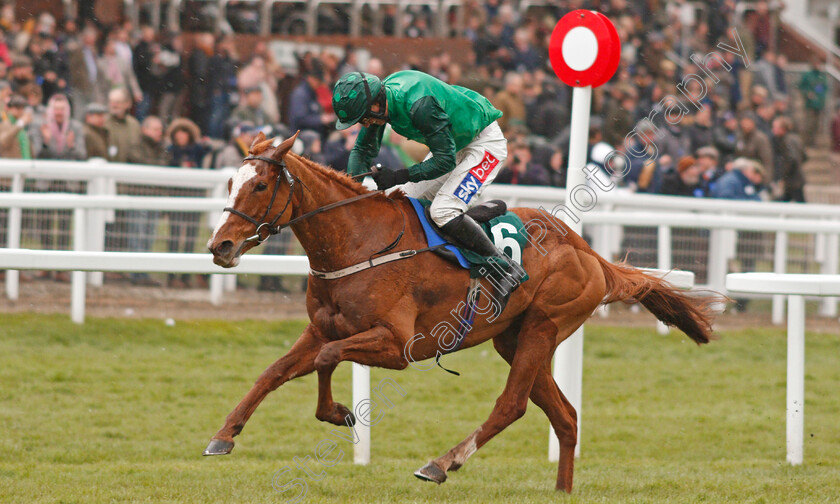 Concertista-0006 
 CONCERTISTA (Daryl Jacob) wins The Daylesford Mares Novices Hurdle
Cheltenham 12 Mar 2020 - Pic Steven Cargill / Racingfotos.com