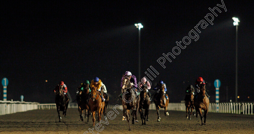 Kingmax-0002 
 KINGMAX (David Egan) wins The Unibet Novice Stakes
Kempton 2 Mar 2022 - Pic Steven Cargill / Racingfotos.com