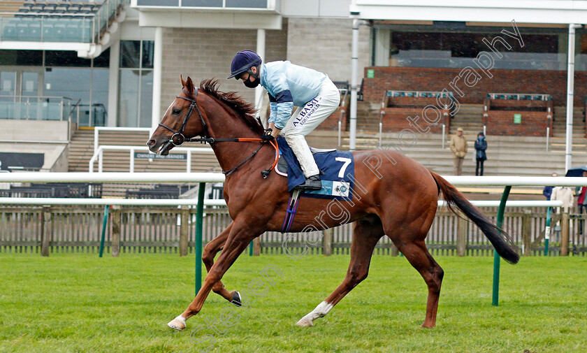 Parachute-0001 
 PARACHUTE (Tom Marquand)
Newmarket 21 Oct 2020 - Pic Steven Cargill / Racingfotos.com