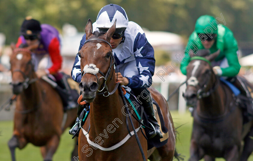 Alseyoob-0004 
 ALSEYOOB (Sean Levey) wins The Rossdales British EBF Maiden Fillies Stakes
Newmarket 9 Jul 2022 - Pic Steven Cargill / Racingfotos.com