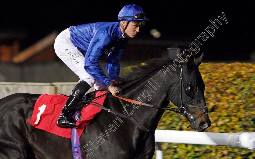 Top-Score-0001 
 TOP SCORE (Kevin Stott) Kempton 11 Oct 2017 - Pic Steven Cargill / Racingfotos.com