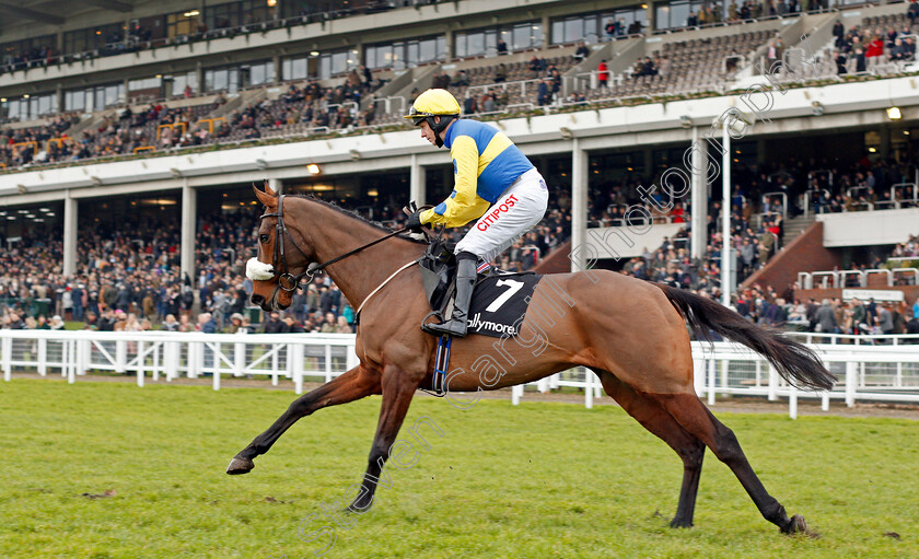 Tikkanbar-0001 
 TIKKANBAR (Noel Fehily) winner of The Ballymore Novices Hurdle Cheltenham 1 Jan 2018 - Pic Steven Cargill / Racingfotos.com