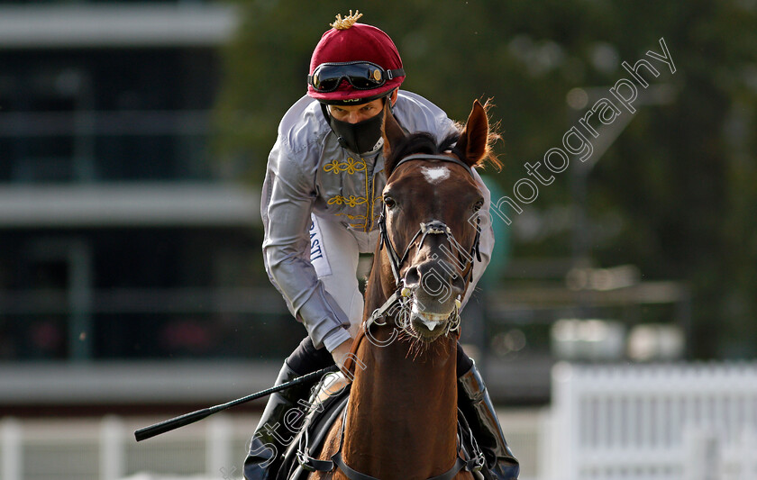 Watan-0002 
 WATAN (Pat Dobbs)
Newbury 18 Sep 2020 - Pic Steven Cargill / Racingfotos.com